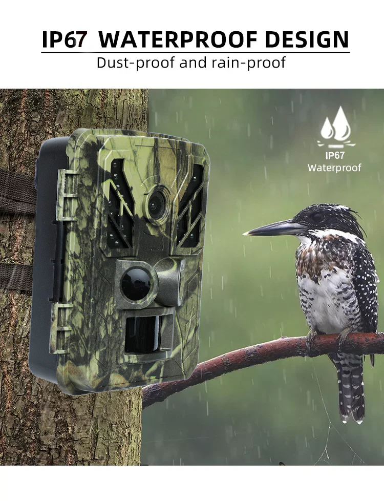 4K Trail Camera with 32MP Photo & 0.2s Trigger Time - Image 3